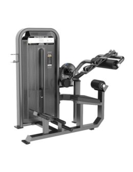 ABDOMINALES/LUMBAR VERSUS M-4048