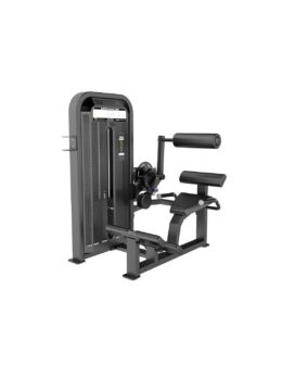 LUMBARES VERSUS M-4049