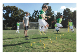 Vallas entrenamiento
