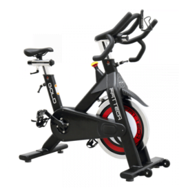 4LIFE - BICICLETA SPIN GOLD