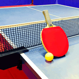 Ping Pong / Tenis de mesa