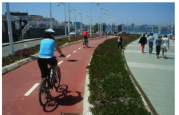 COAD - PAVIMENTO CARRIL BICI