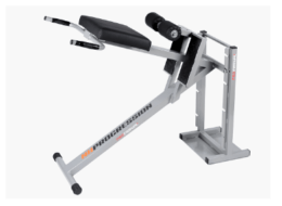 PROIN - PRO NORDIC HAMSTRING PROGRESSION