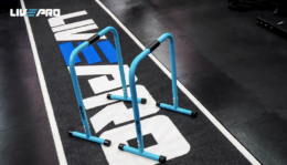 LIVEPRO - PARALLETTES GRANDES - PARALELAS GRANDES