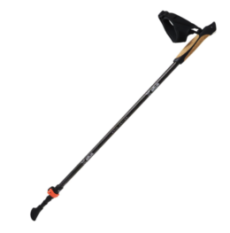 ALTUS - BASTON FRESNO