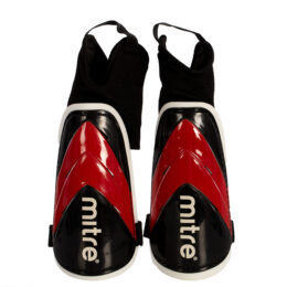 ESPINILLERA MITRE MAYAN