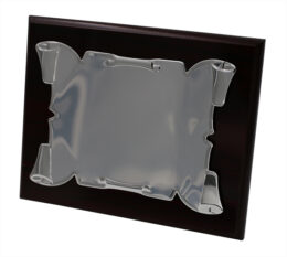 PLACA HOMENAJE DIONE PERGAMINO