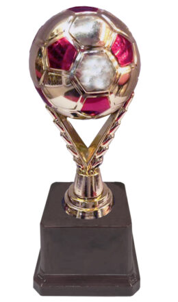 TROFEO FÚTBOL EGALEO COBRE