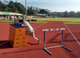 Material pruebas de acceso