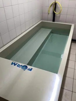 CRYO - FORM 4