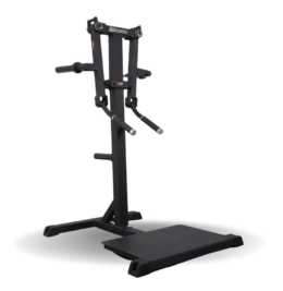 FDL - IMPULSE - ELEVACION LATERAL DE PIE (STANDING LATERAL RAISE) IFP1103
