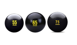 FDL - ZIVA FITBALL CLASSIC - INCLUYE INFLADOR