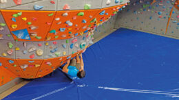 Tatami fijo Boulder-Rocódromo