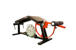 PROIN - PROLEGCURL 2022