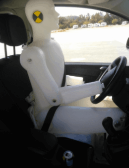 MAXPREV® - Crash Dummy