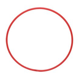 ARO DE RÍTMICA ADULTO - Imagen 3