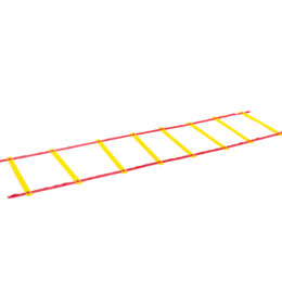 ESCALERA AGILIDAD ESCOLAR 4M - Imagen 2