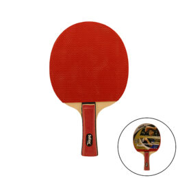 RAQUETA TENIS DE MESA SOFTEE P030 - Imagen 3