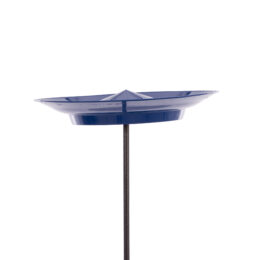 SET PLATO CHINO - Imagen 5