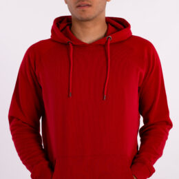 SUDADERA ROX R-FORTITUDE - Imagen 22