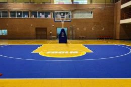 Canchas de baloncesto Modulares Completas o 3X3 - Imagen 6