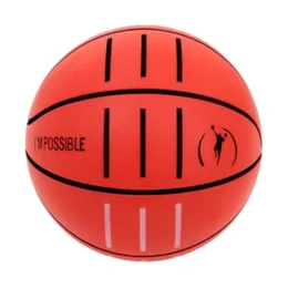 Safe Bounce Pro Silence Ball