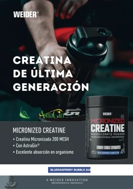 WEIDER® - MICRONIZED CREATINE 200 MESH (WEIDER) - Imagen 3