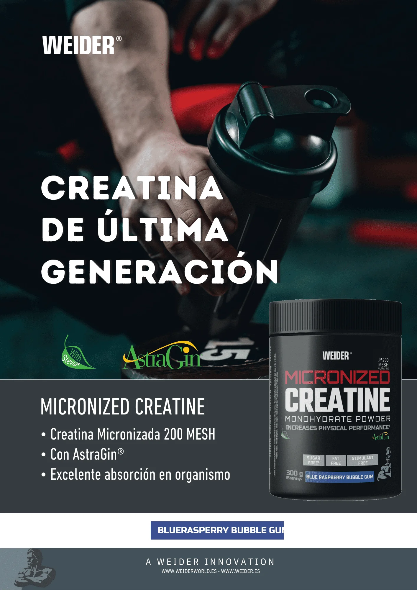 WEIDER® - MICRONIZED CREATINE 200 MESH (WEIDER) - Imagen 3